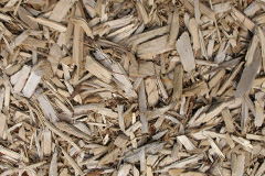biomass boilers Llangathen